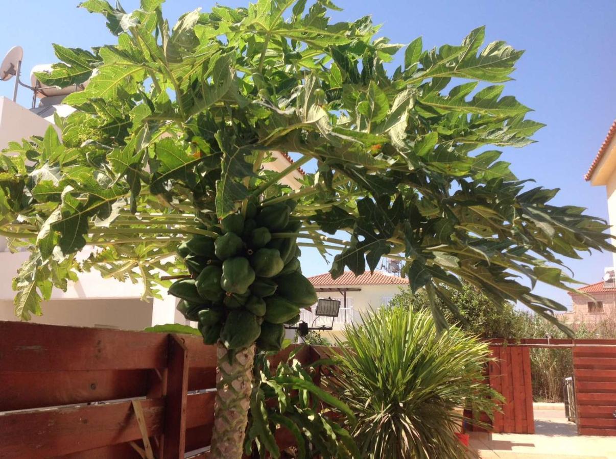 Carolyn Villa Is A Luxury 4-Bedroom Villa With Private Pool In Ayia Napa Agia Napa Exterior foto